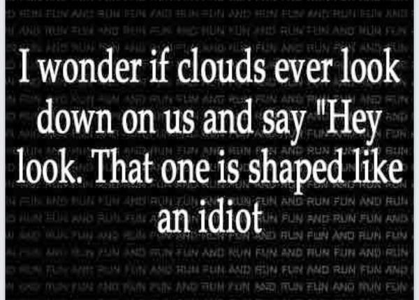 Know it All Dawgs