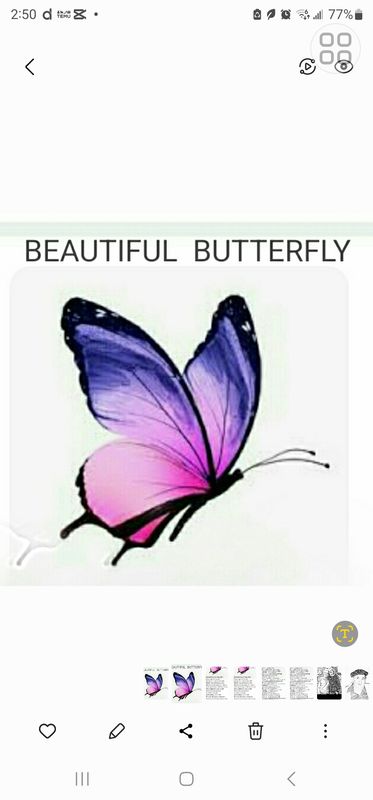 BEAUTIFUL BUTTERFLY 