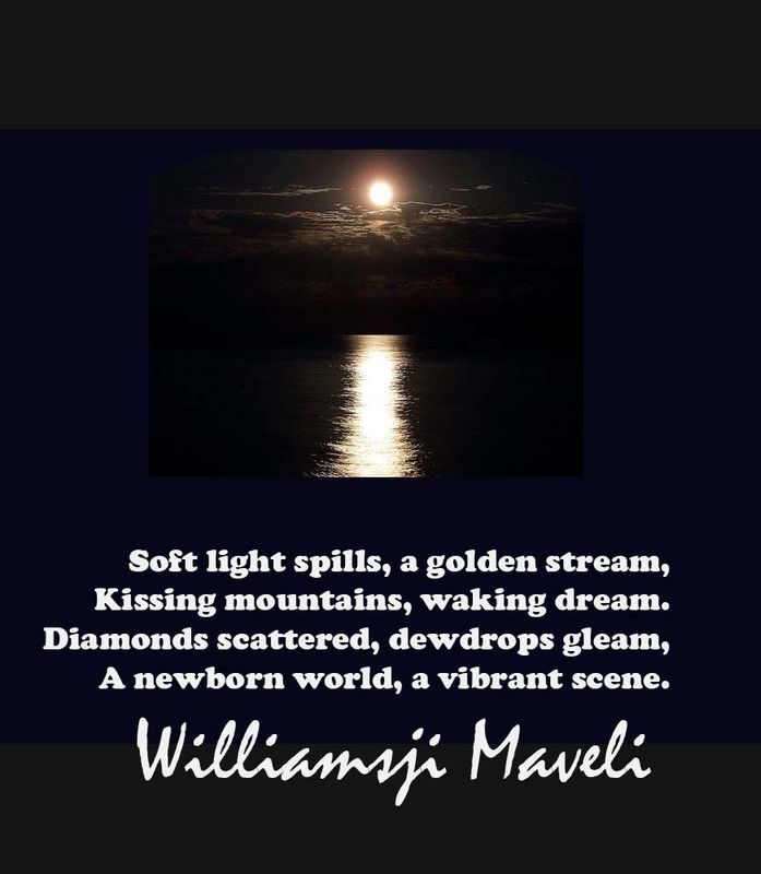 SOFT LIGHT SPILLS 
