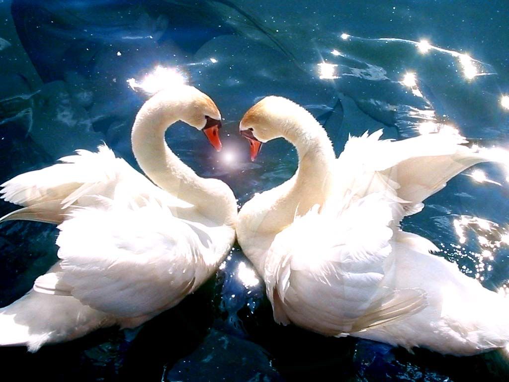 A LOVER'S WHISPER 