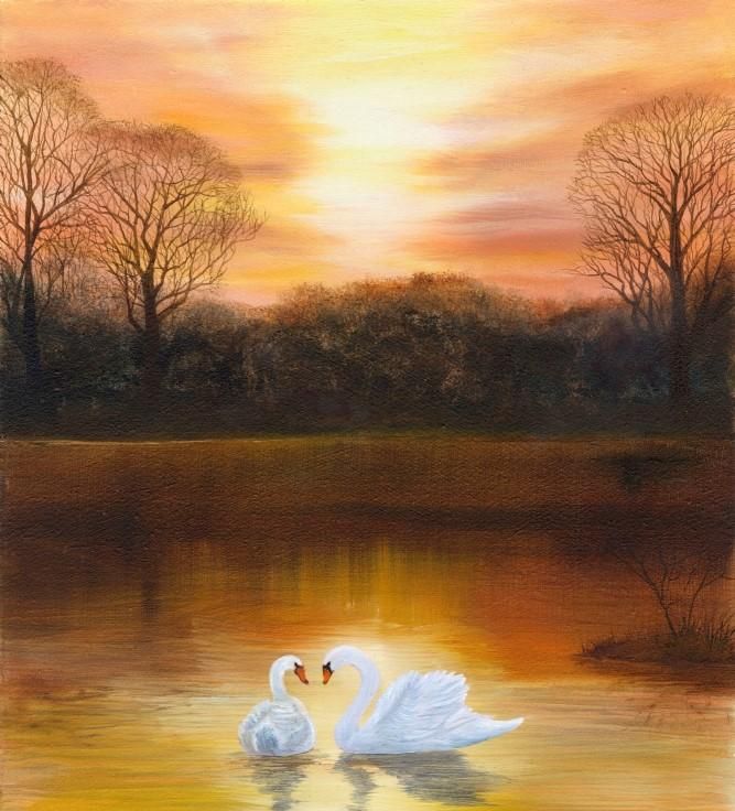 Swan's Lake