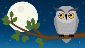 On becoming a night owl...,