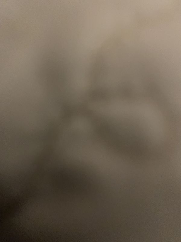 Me my mouth and this door