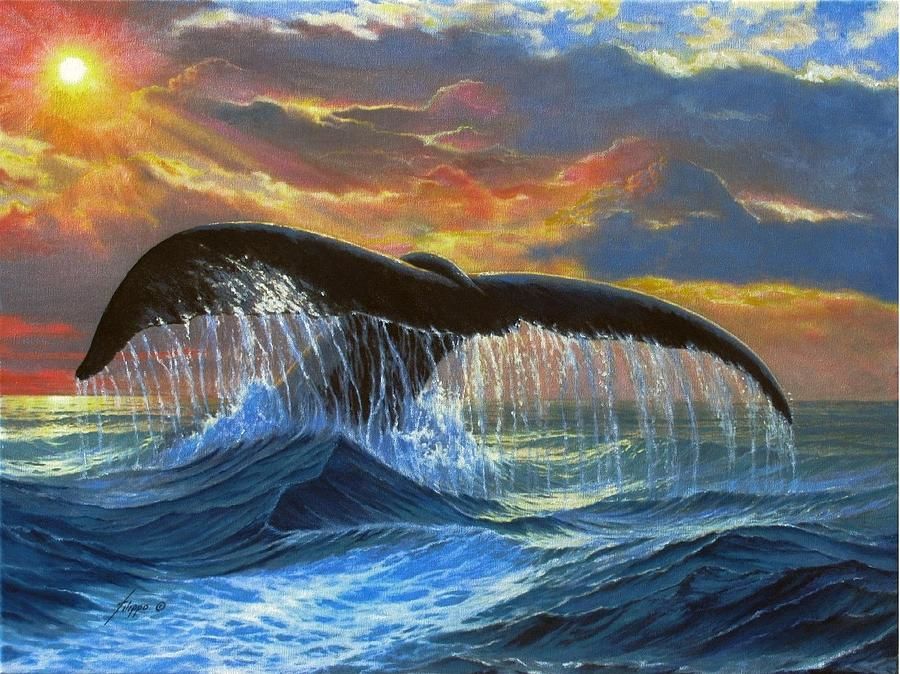 A Whale of a Time 