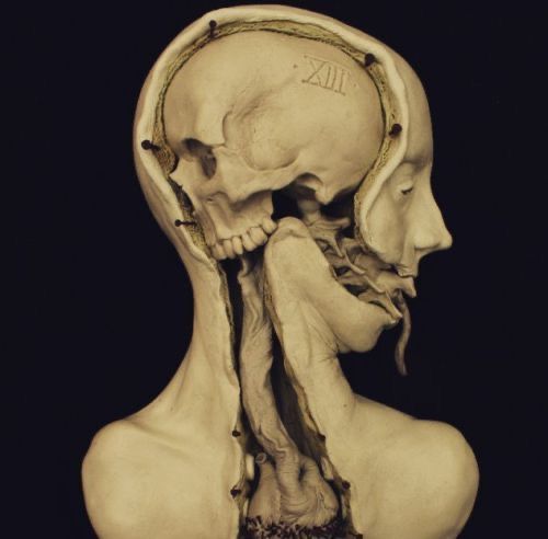 mind death