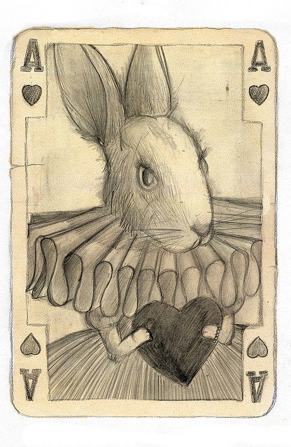 Even rabbits...