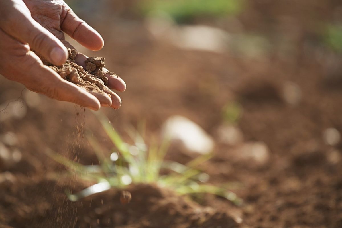 Soil for flowers