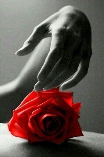 The Absoluteness of Love