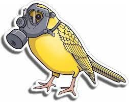 Hit Fowl