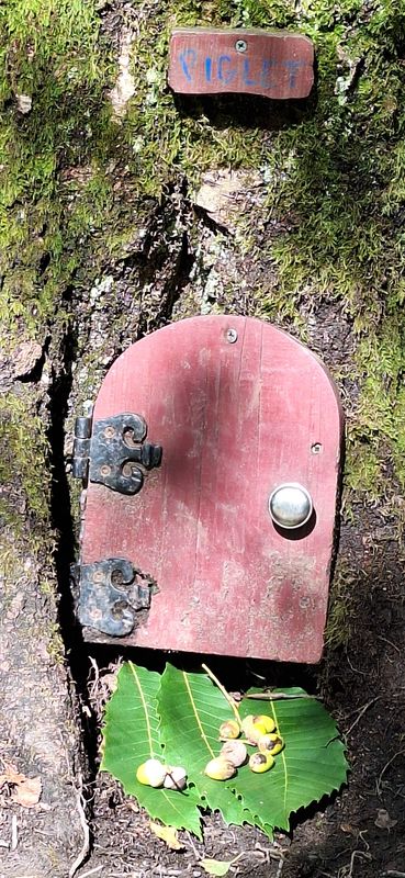 Fairy Doors