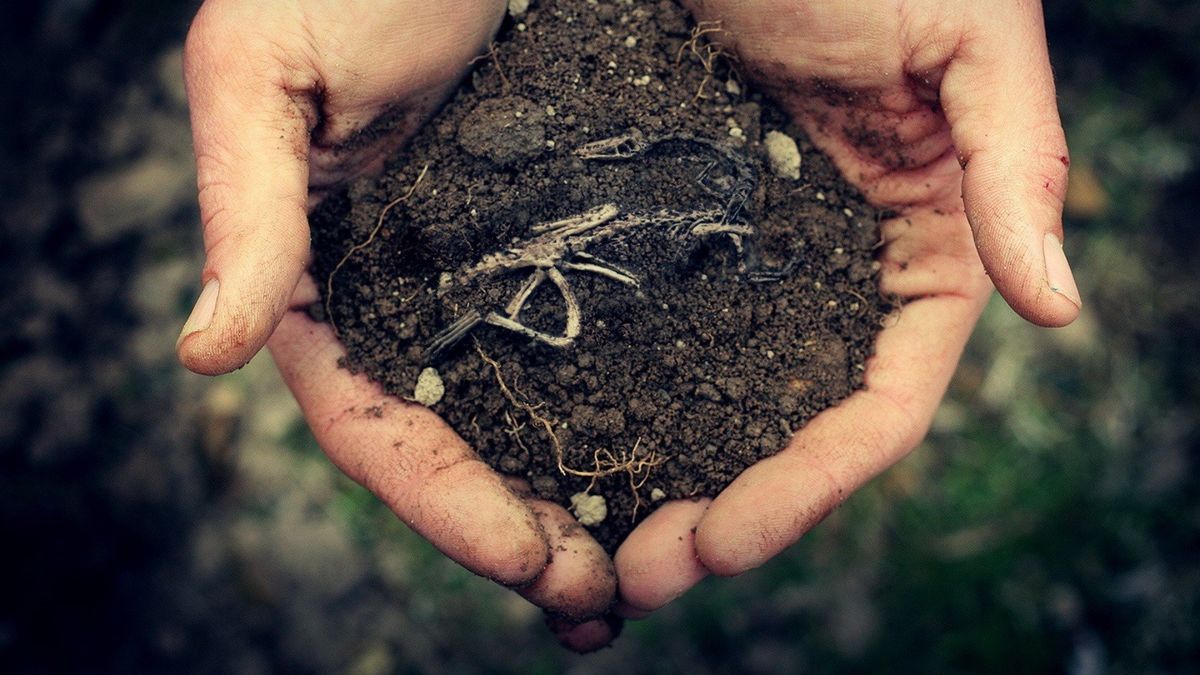 The Burden of Soil The Burden of Soil