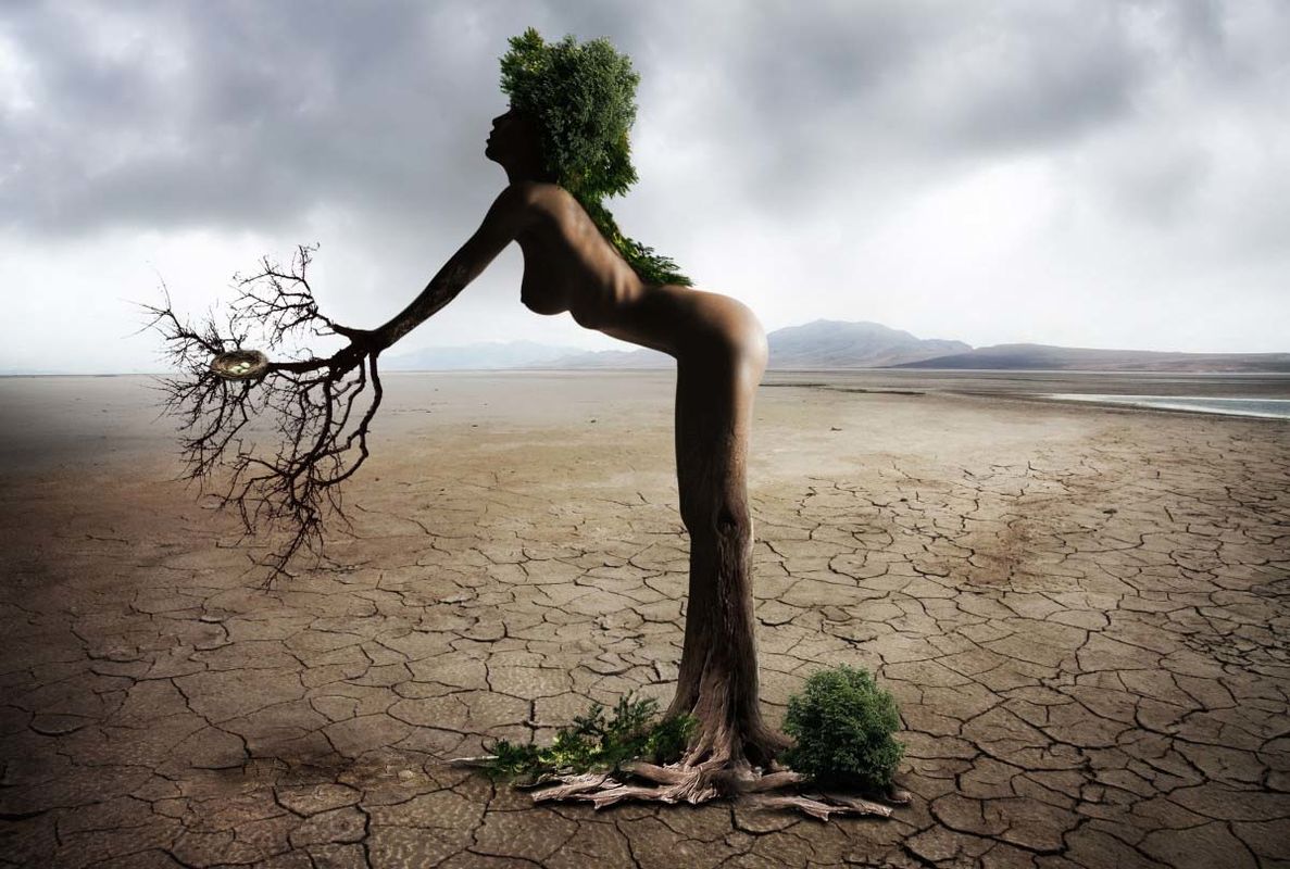 Lament of the Earth Lament of the Earth