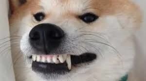 Gimme a gift or a Botox smile Gimme a gift or a Botox smile