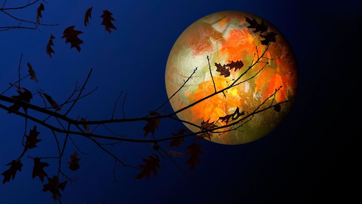 The Silent Night and the Colorful Moon