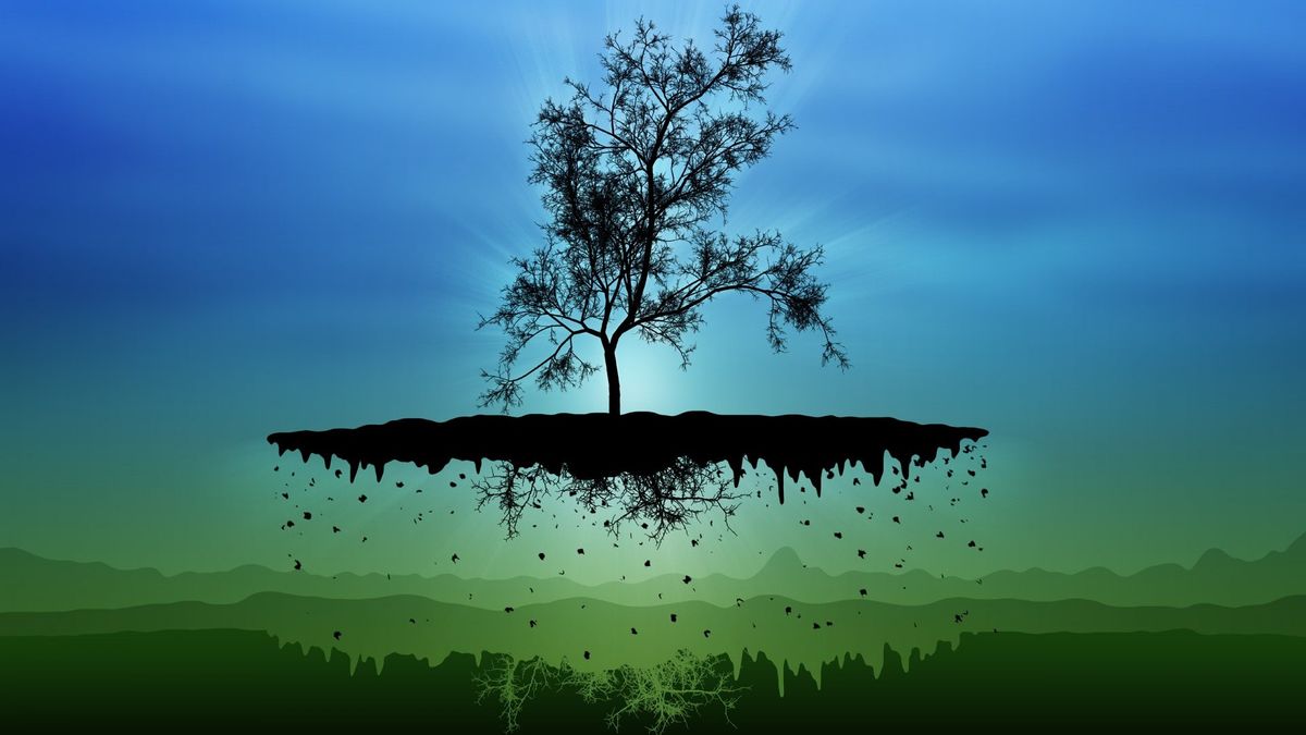 Tale of the Tree Tale of the Tree