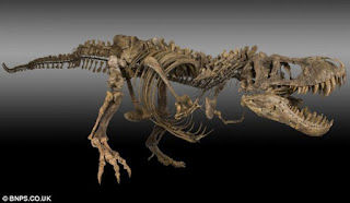 Fossilized Us