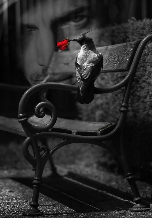 Waiting for my Love