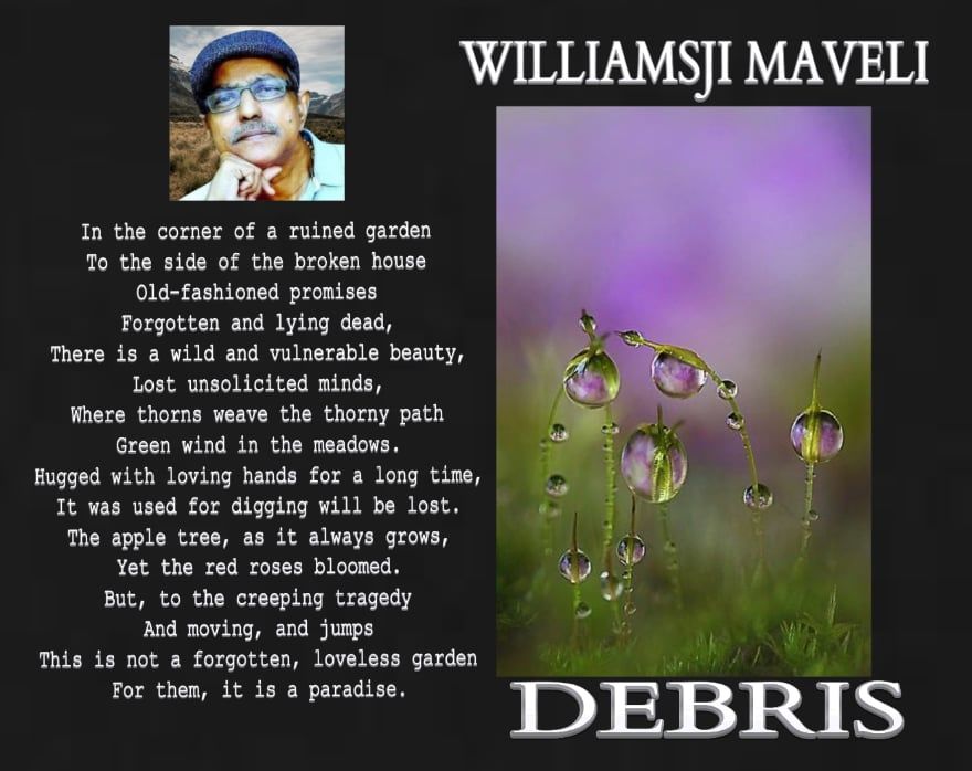 DEBRIS