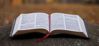 WHAT I THINK ABOUT THE BIBLE