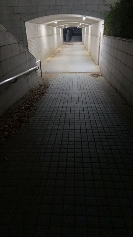 Solitude: Silence Screams 