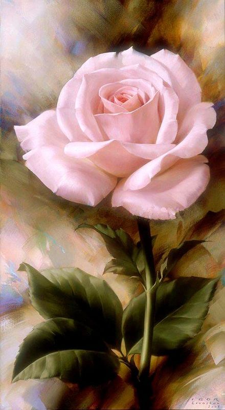 In The Name of a Rose 