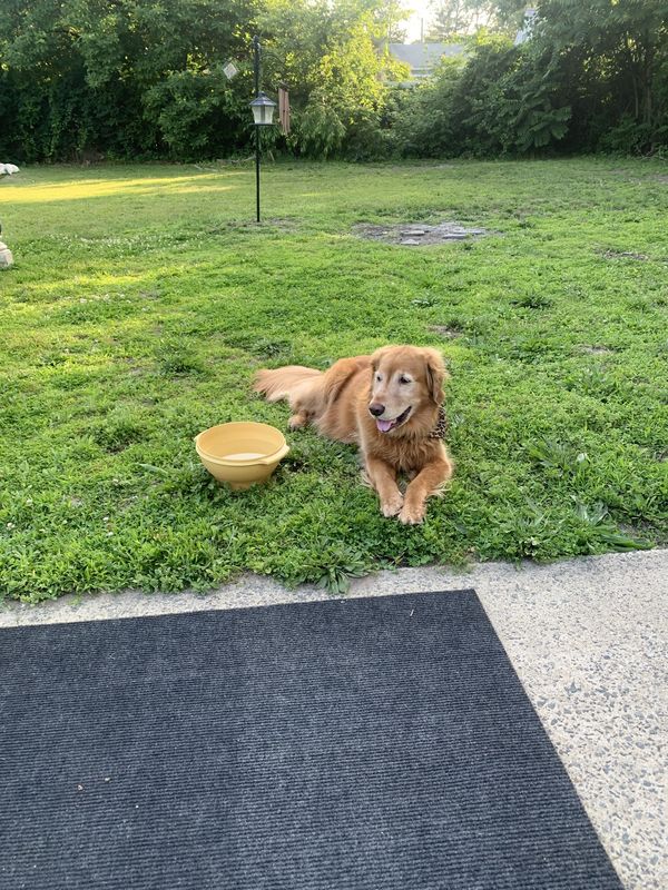 Finders Keepers