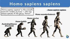 Yours truly like most every hominid linkedin...