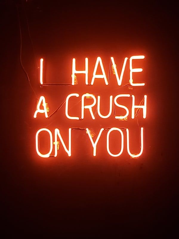 LOVE FOR THE CRIMINAL