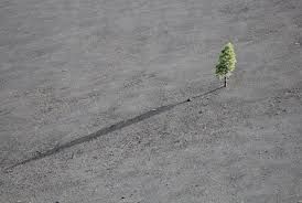 Lonelyness