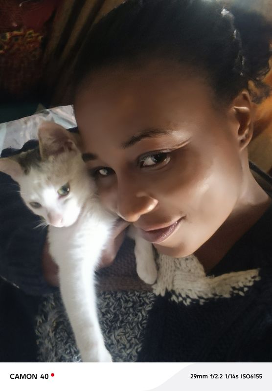 My Kitty