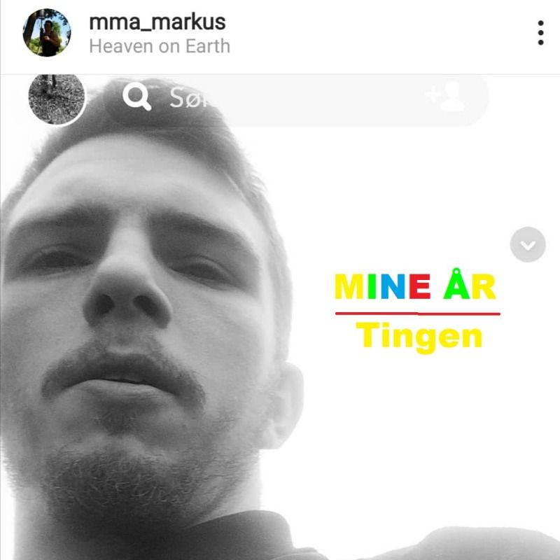 TINGEN - MINE ÅR