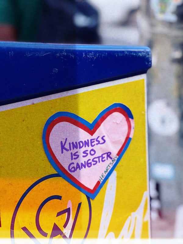 THE KINDNESS SNIPER