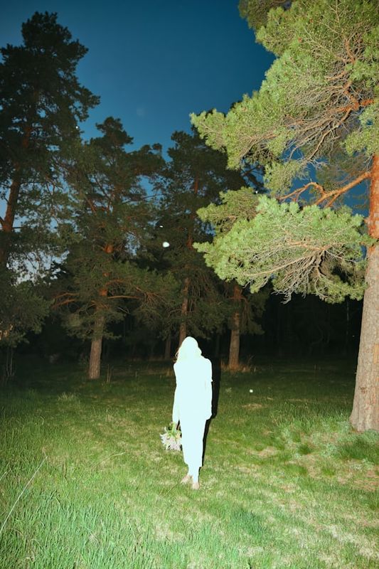 HERMIT PHASE