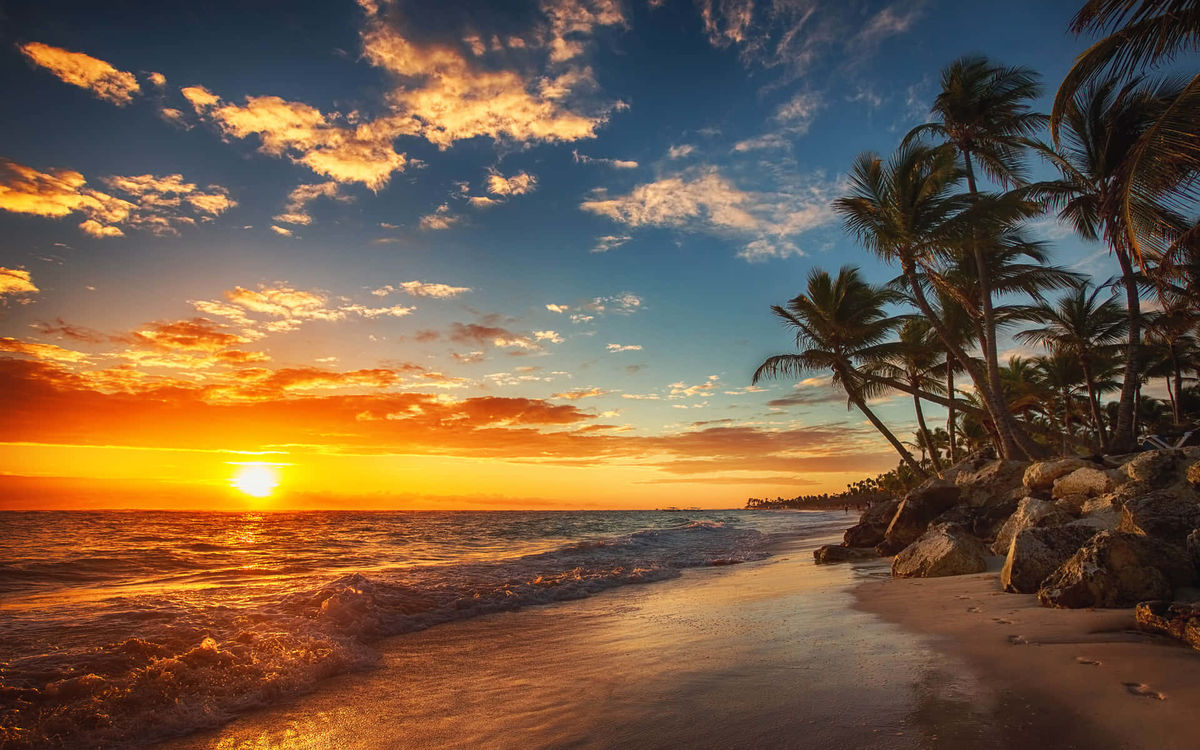 The Caribbean flame