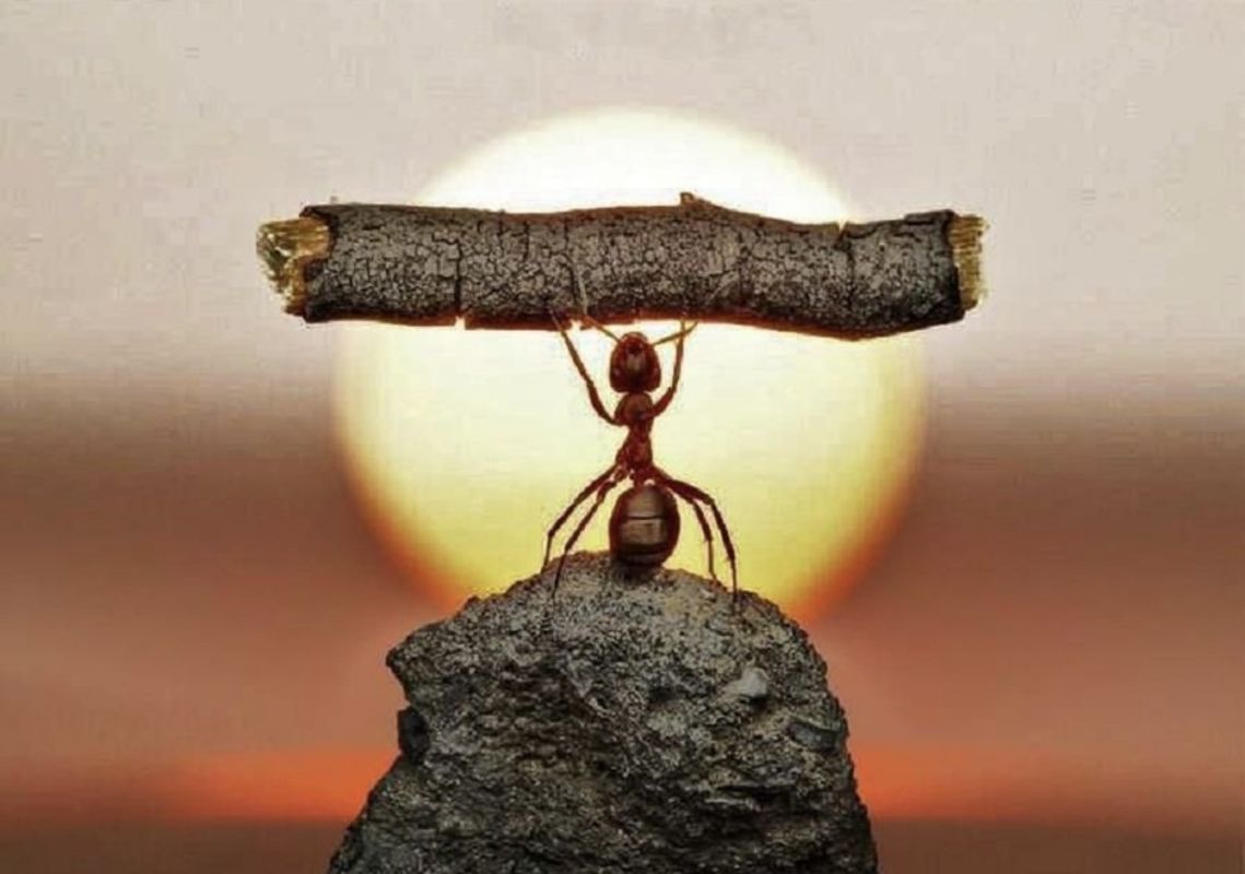 Admiration for Your Strength
