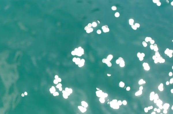 ELON IS GOING TO ZAP YOU