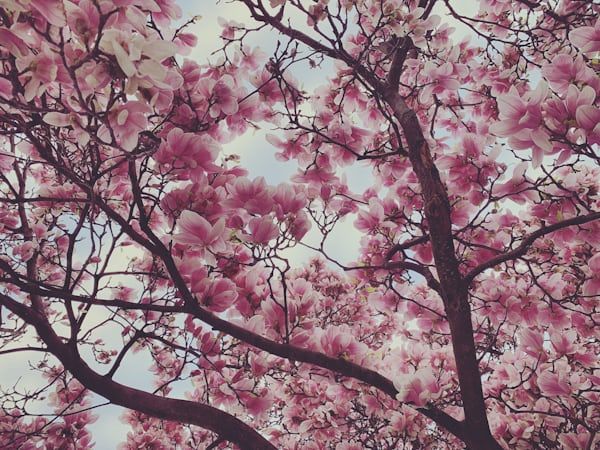 PEOPLE ARE STILL WAKING UP