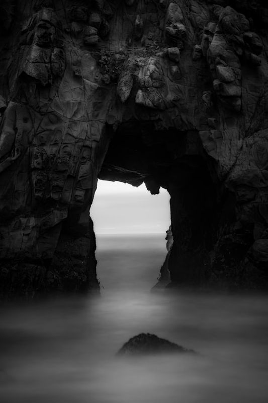 PROPHET ELECTED ONLY