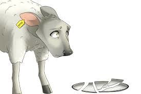 Until I acquire a sheepish android washerwoman...