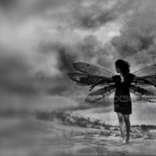 I WANT TO FLY..