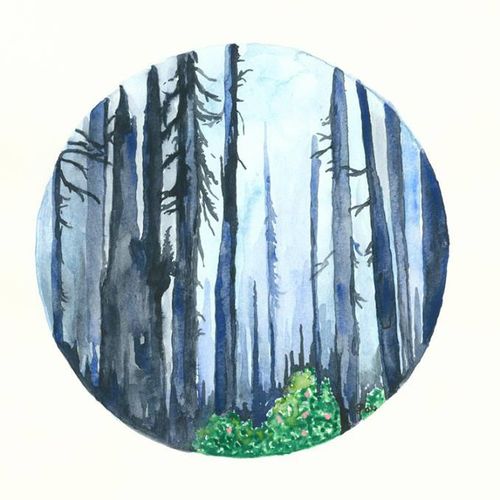 Forest No.3