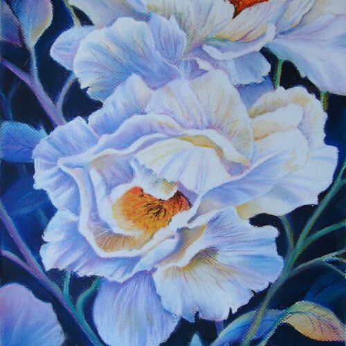 White Peonies 1