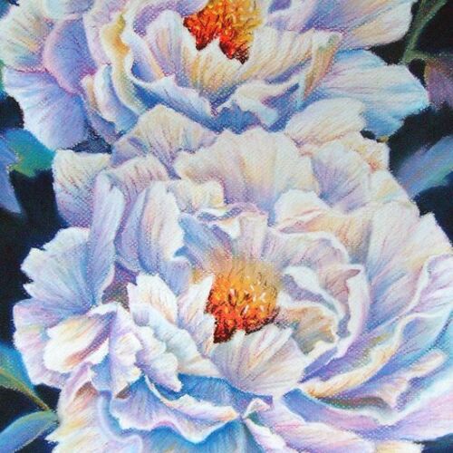White Peonies 2