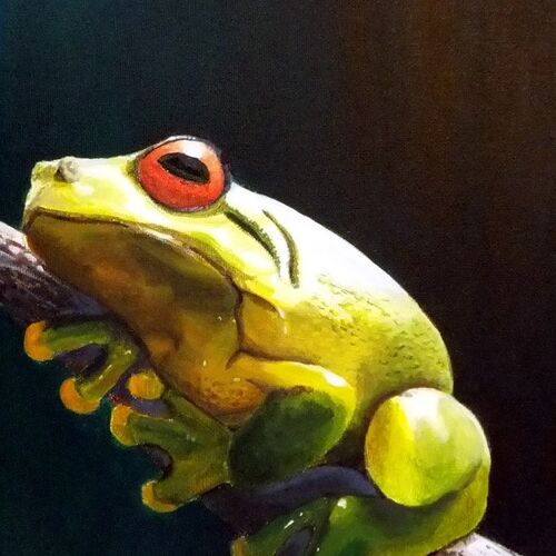 The lazy frog