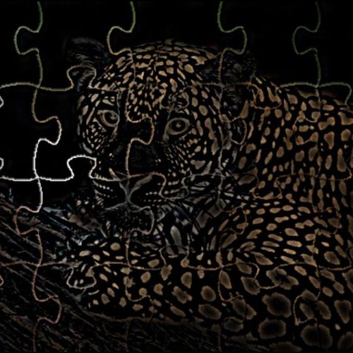 Jigsaw leopard