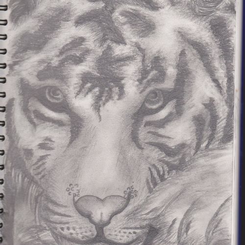 Prowling the grounds