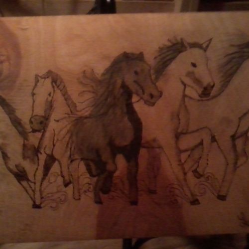 horses