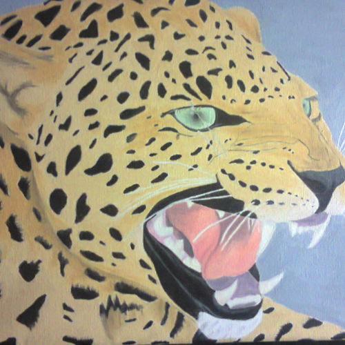 Shalom Art Creations