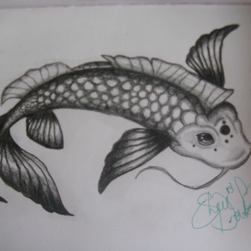 Koi Fish