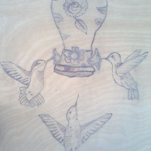 hummingbirds 